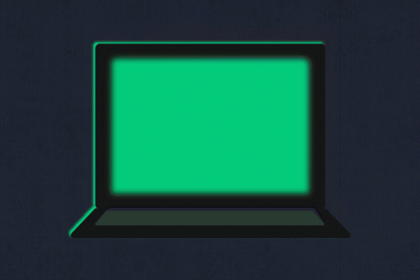 Laptop flashing